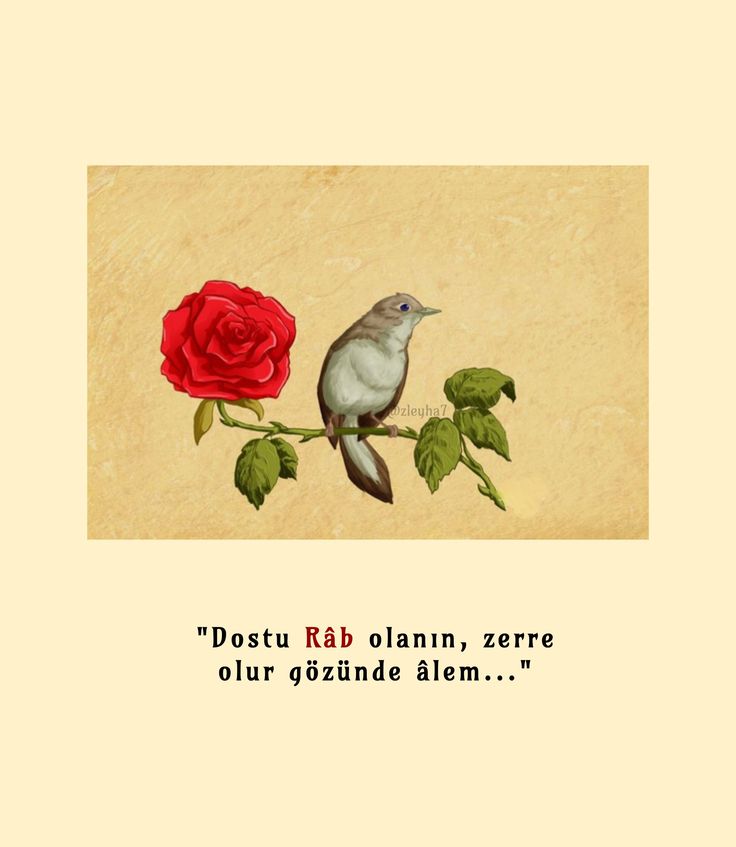 Monna Rosa (@ayaserenat) on Twitter photo 