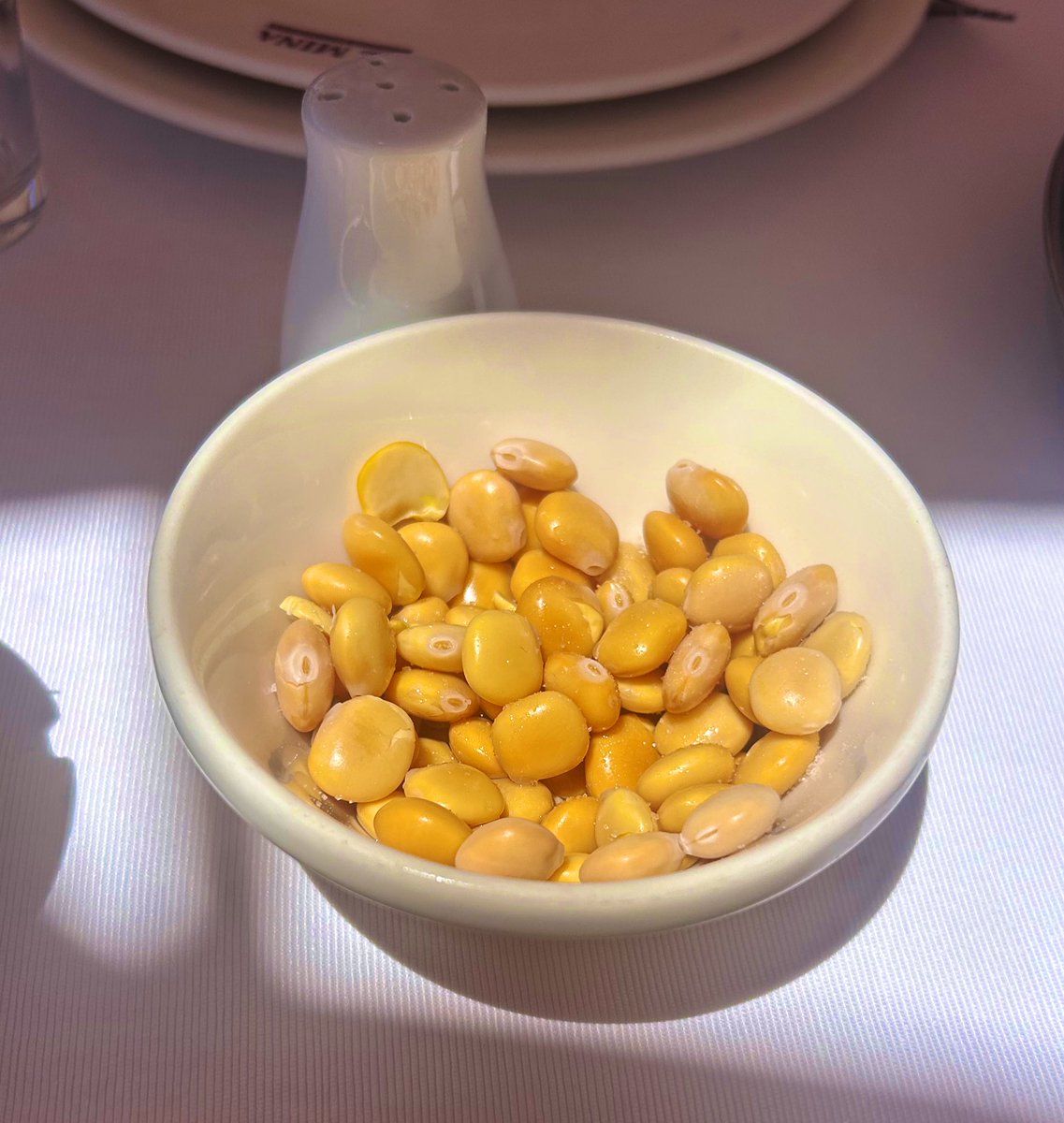 j_zabaneh's tweet image. ترمس • Lupin ☀️
