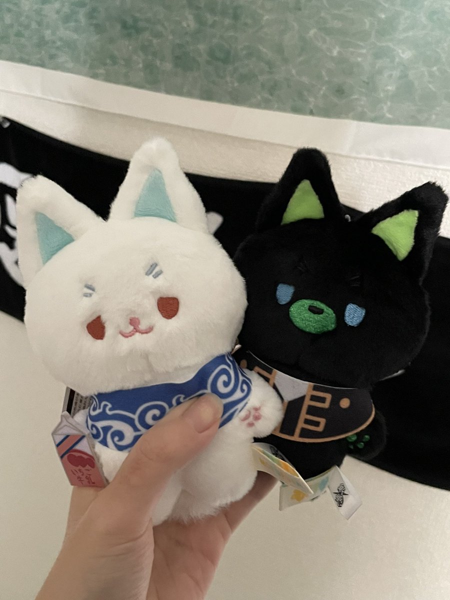 모후기니디 도착🥹🫶🩵💚
너무기엽고...복실하구...
모후긴 꼬리가 모후히지 꼬리보다 뽁실해서 너무기여버요ㅠㅠ