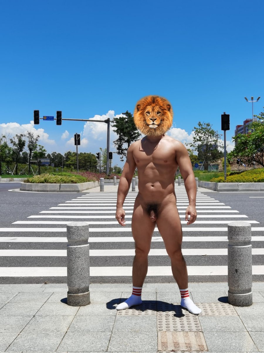 向野而生 tweet media