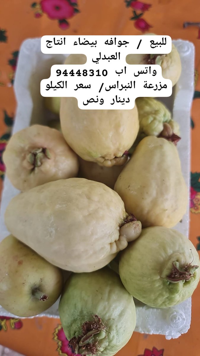 انتاج العبدلي / مزرعة النبراس

#مزارع_العبدلي
#الامن_الغذائي
#المنتجات_الكويتيه
#الكويت
#المنتج_المحلي
#فيصل_الزعبي
<a href="/paaf_kwt/">الهيئة العامة لشئون الزراعة والثروة السمكية</a>
<a href="/kuwaiti_kff/">الاتحاد الكويتي للمزارعين</a>