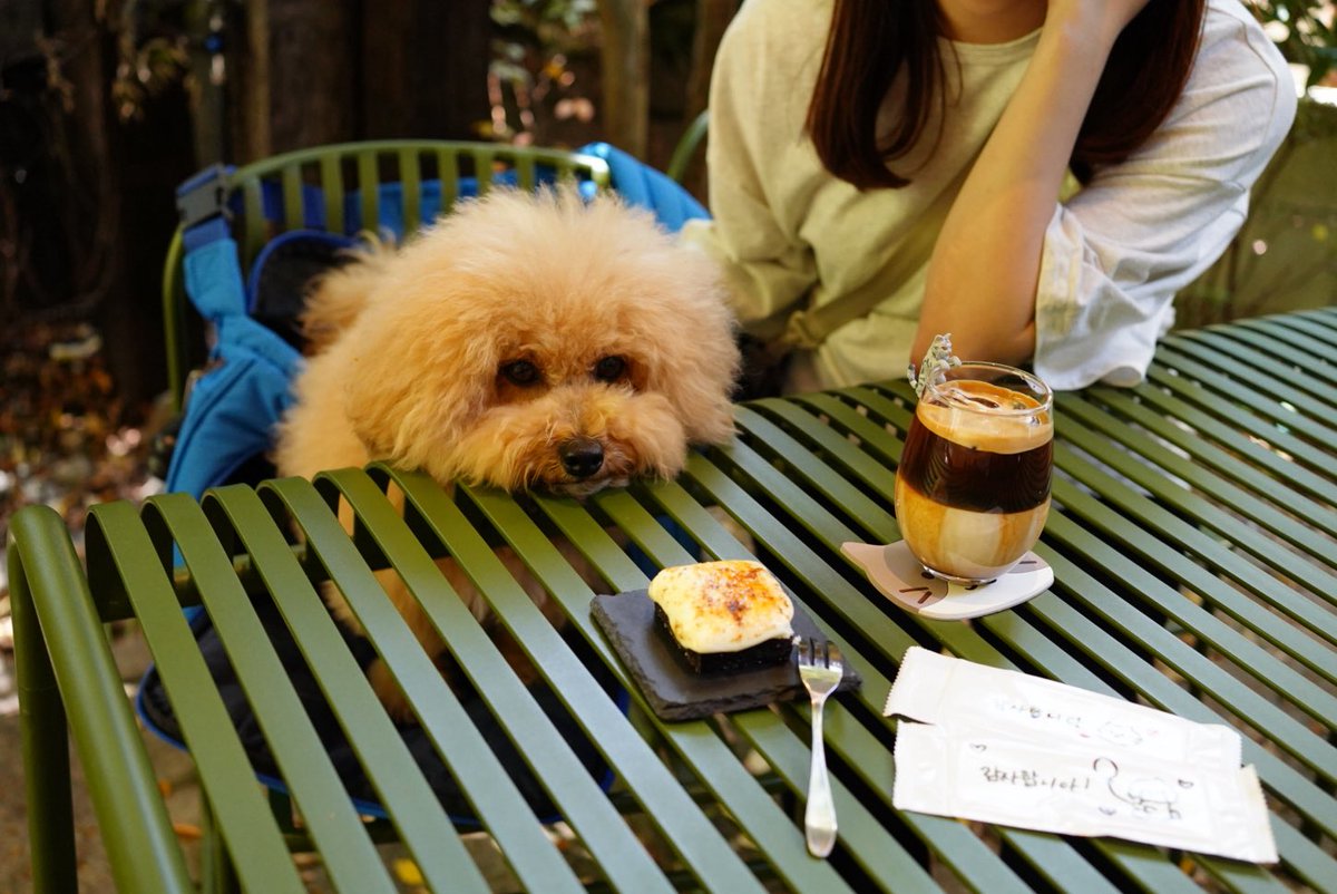 potechi_yade's tweet image. スイーツ欲しいぬ