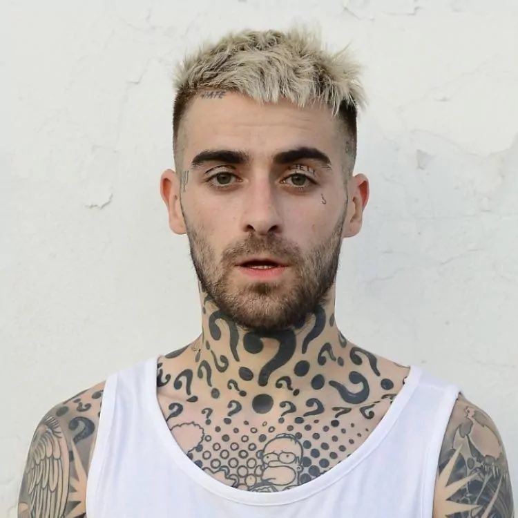 trapownia tweet media