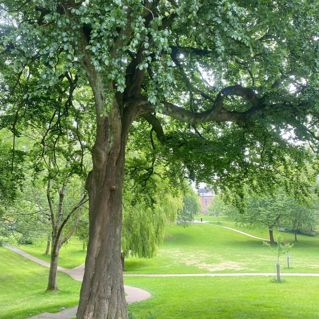 visitpreston's tweet image. πΈ How are you marking summer in Preston?
π· Tag us in your lovely summer photos!