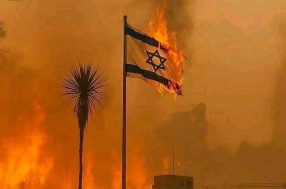 ¿Cuáles son los sentimientos intensos que fluyen de ti cuando ves esta ciencia? 

Para mí, esa bandera me recuerda a la práctica de la opresión, las masacres cometidas contra los Palestinos indefensos y el genocidio en Gaza.