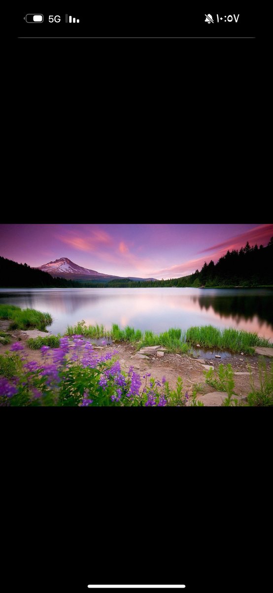 دائماً تستطيع إمتلاك القلوب بحسن تعاملك 
وحبك للآخرين ♥️

وتذكر دوما بأن :

• من ابتغى صديقاً بلا عيب، عاش وحيداً

• من ابتغى قريباً كاملاً، عاش قاطعاً لرحمه!

فلنتحمل وخزات الآخرين حتى نعيد 

التوازن إلى حياتنا 👍
.
.
.
.