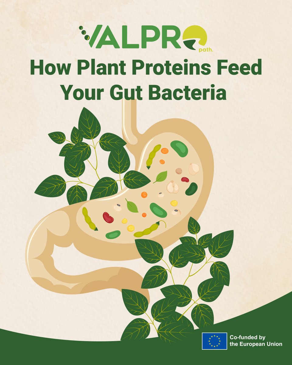 🥣🦠 Did you know your gut bacteria have favorite foods? Think lentils, quinoa, chickpeas &amp; almonds! 🌱 Every bite feeds trillions of microbes that:
💪 Aid digestion
🛡️ Boost immunity
😊 Lift your mood

Learn more 👉 lnkd.in/dpdGUyZF