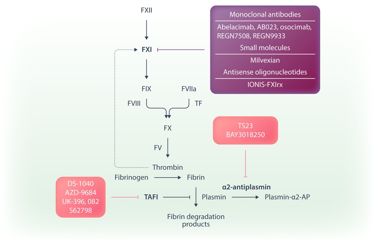 In this Review Article published in the June issue of HemaSphere,  new pharmacological treatments have the potential to address unmet needs by direct oral anticoagulants in acute and long-term management and prevention of venous thromboembolism. 👉bit.ly/4kkTd0M