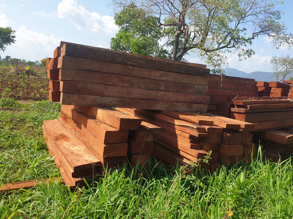 KabaleMk's tweet photo. @bamwinejnr mahogany timber all sizes. 0787149240 https://t.co/e2BS1ivH01