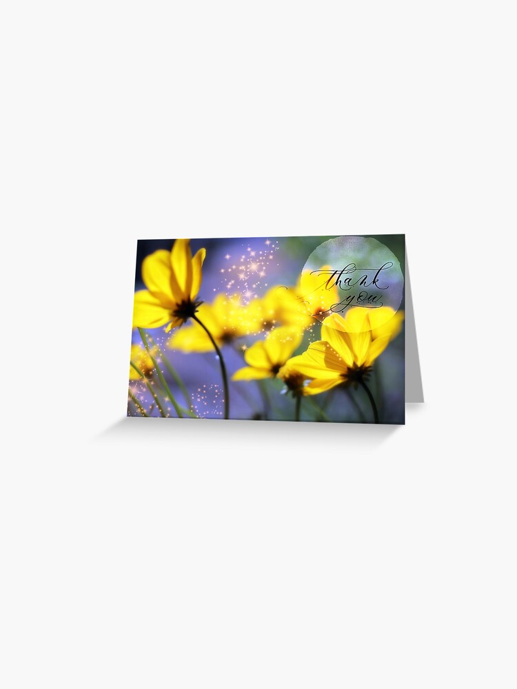 Thank You With Goldilocks. 

A magical and inspirational thank you design for cards and small gifts. 

redbubble.com/i/greeting-car…