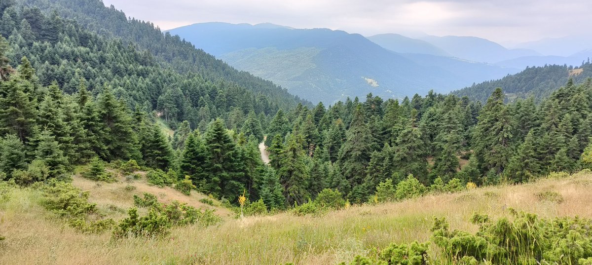 CodeWeekEU's tweet image. On June 28, CityLab &amp;amp; Merkada Cultural Association hosted a robotics workshop in Merkada! 🤖 Kids 6+ built &amp;amp; raced smart cars 🏁 at the Church Spiritual Centre, part of #EUCodeWeek. Inspiring future innovators! 💻🇪🇺 #Robotics #STEMLabs #DigitalSkills #EUCodeWeek