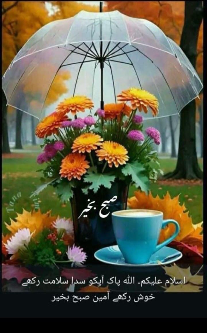 السلام علیکم!
 *مشکل وقت میں ہمیشہ دعا کیا کریں*🤲💓
*کیونکہ جہاں انسان کا حوصلہ ختم ہوجاتا ہے*💗😇
*وہاں سے رحمت خداوندی شروع ہوتی ہے*💖🥰

*اللہ سے دعا ہے کہ اللہ ہم سب کی پریشانیوں کو دور فرمائے جتنے لوگ بیمار ہیں ان کو صحت عطا فرمائے آمین*💖🤲
 #داستان_دل