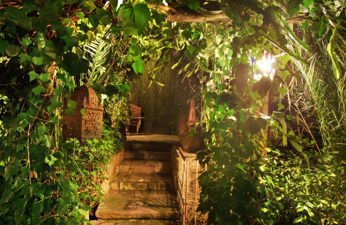"The summer night is like a perfection of thought." —Wallace Stevens

#QuoteOfTheDay #WallaceStevens #SafeSoilUK #July #summer #summernights #gardens