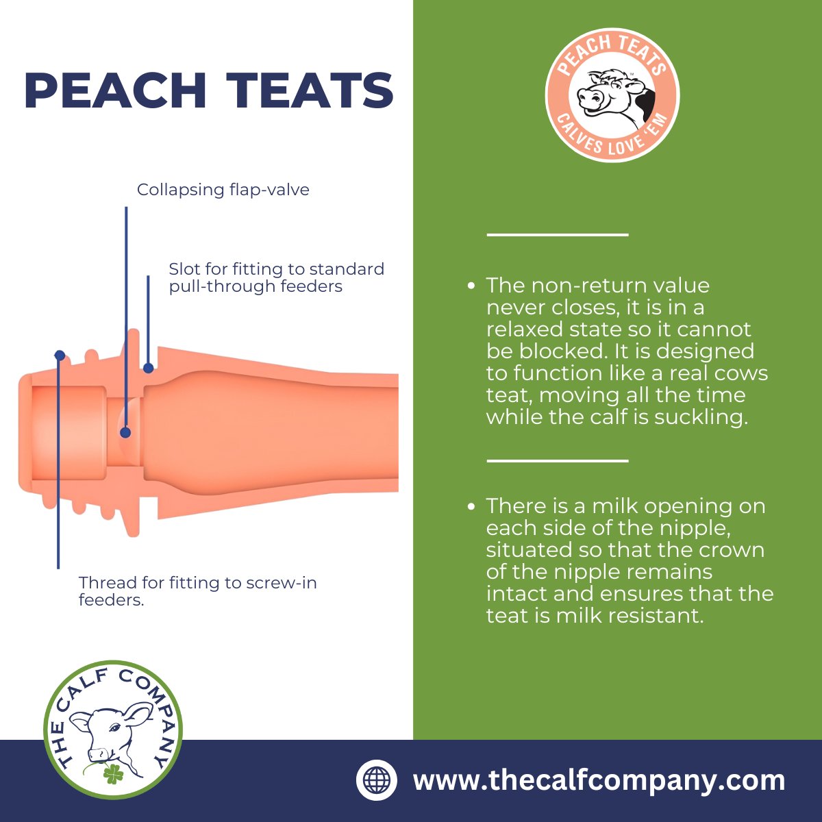 Peach Teats come are available as a screw in design or a pull through design, both of which are available in pink or black🐮. 

The peach teat design allows for rapid acceptance by the calf. 

To order please visit thecalfcompany.com/product-catego…

#thecalfcompany #calfrearing #peachteats