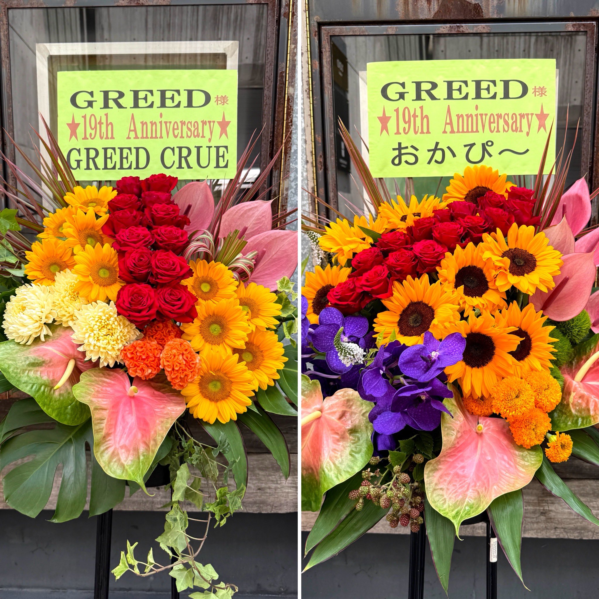 GREED STORE (@greed_store) / X
