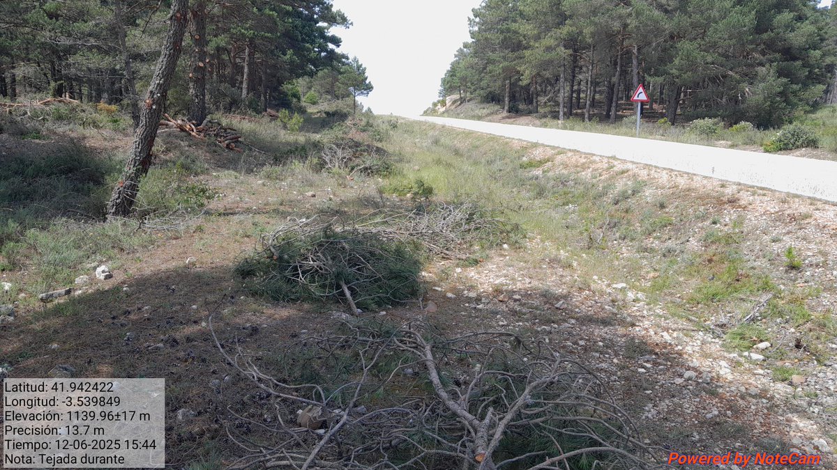 Realizamos trabajos selvícolas #Prevención de #IIFF durante el año, como en el #MUP 697 “Abañate y los Navazos” en PN Sabinares del Arlanza-La Yecla.
Hemos hecho poda en altura de los pinos junto a la carretera, apeo de los pies y apilado de restos para triturarlos. Fondos <a href="/jcyl/">Junta de Castilla y León</a>