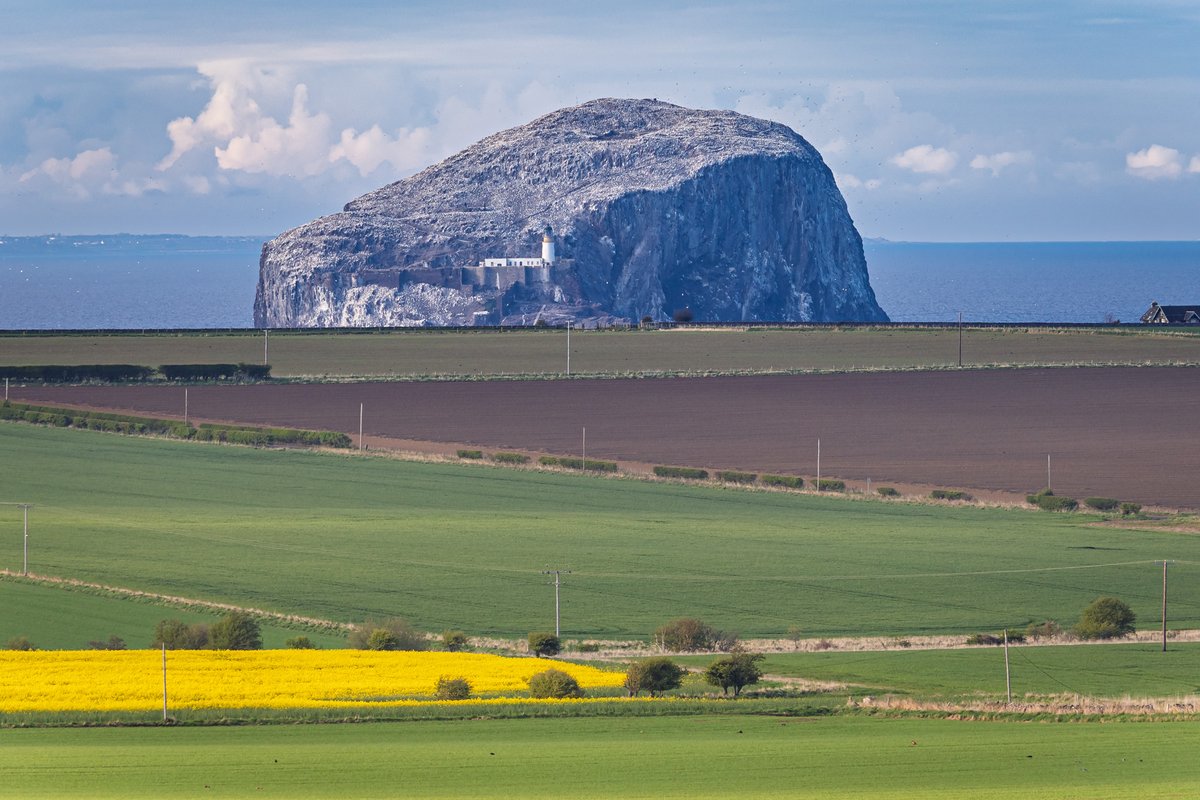 mark_hume's tweet image. An unusual view of Bass Rock using a telephoto lens from a fair way away on top of Whitekirk Hill to give the illusion of compressing the foreground.