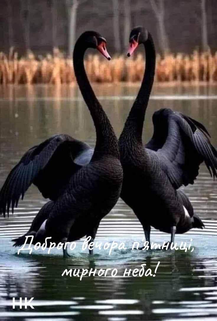 Good afternoon to all my glorious twitter friends hope you all have a tremendous one keep safe and well blessings to you all. Away for lunch now see you later