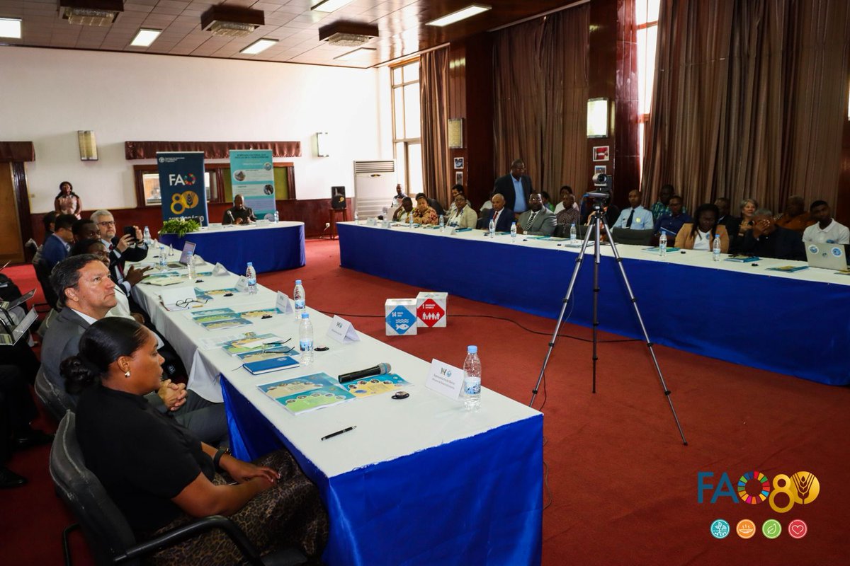 FAO Afrique centrale (@faoafriquecent) on Twitter photo Americo Ramos, Premier Ministre de Sao Tomé et Principe a présidé la table ronde des partenaires techniques et financiers qui a précédé la cérémonie de clôture de la troisième semaine nationale de la Pêche 🎣 organisée avec l'appui de <a href="/FAO/">Food and Agriculture Organization</a> et les programmes #FISH4ACP #EAFNANSEN Americo Ramos, Premier Ministre de Sao Tomé et Principe a présidé la table ronde des partenaires techniques et financiers qui a précédé la cérémonie de clôture de la troisième semaine nationale de la Pêche 🎣 organisée avec l'appui de <a href="/FAO/">Food and Agriculture Organization</a> et les programmes #FISH4ACP #EAFNANSEN