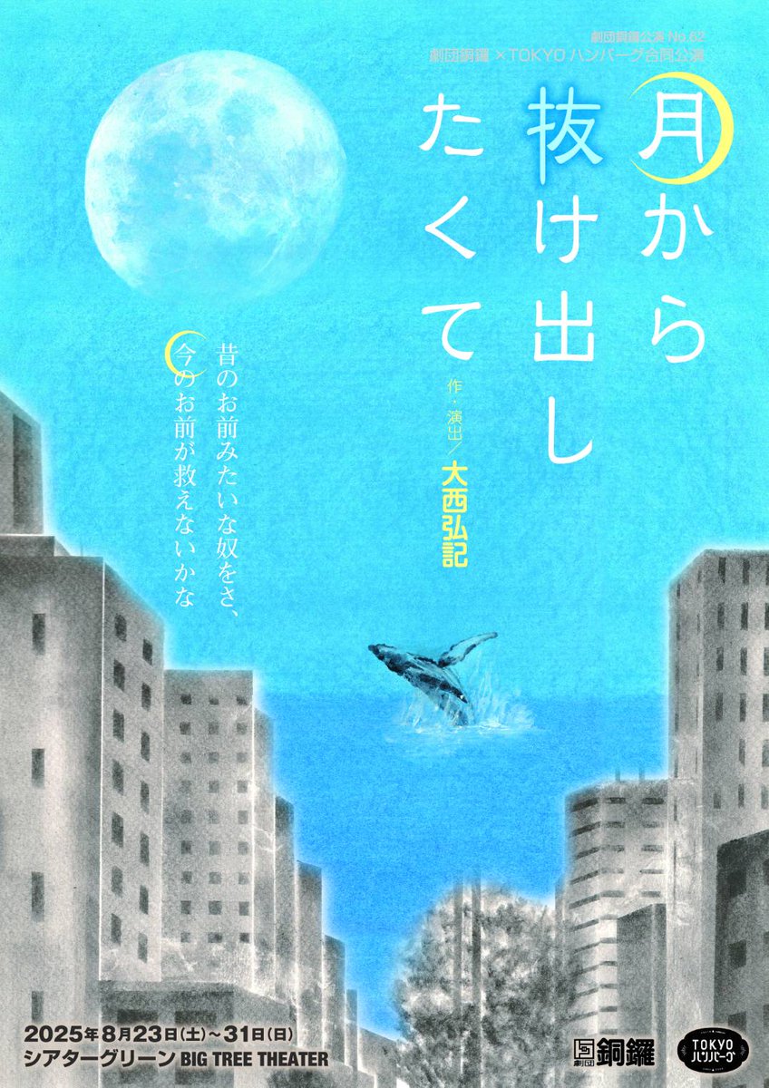 希少 当時物 1973.02 花開く十七才 東京興映 山本晋也監督