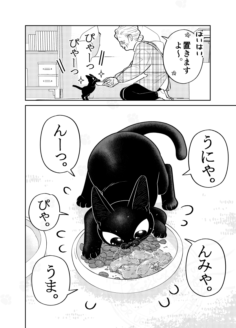 (2/3) 