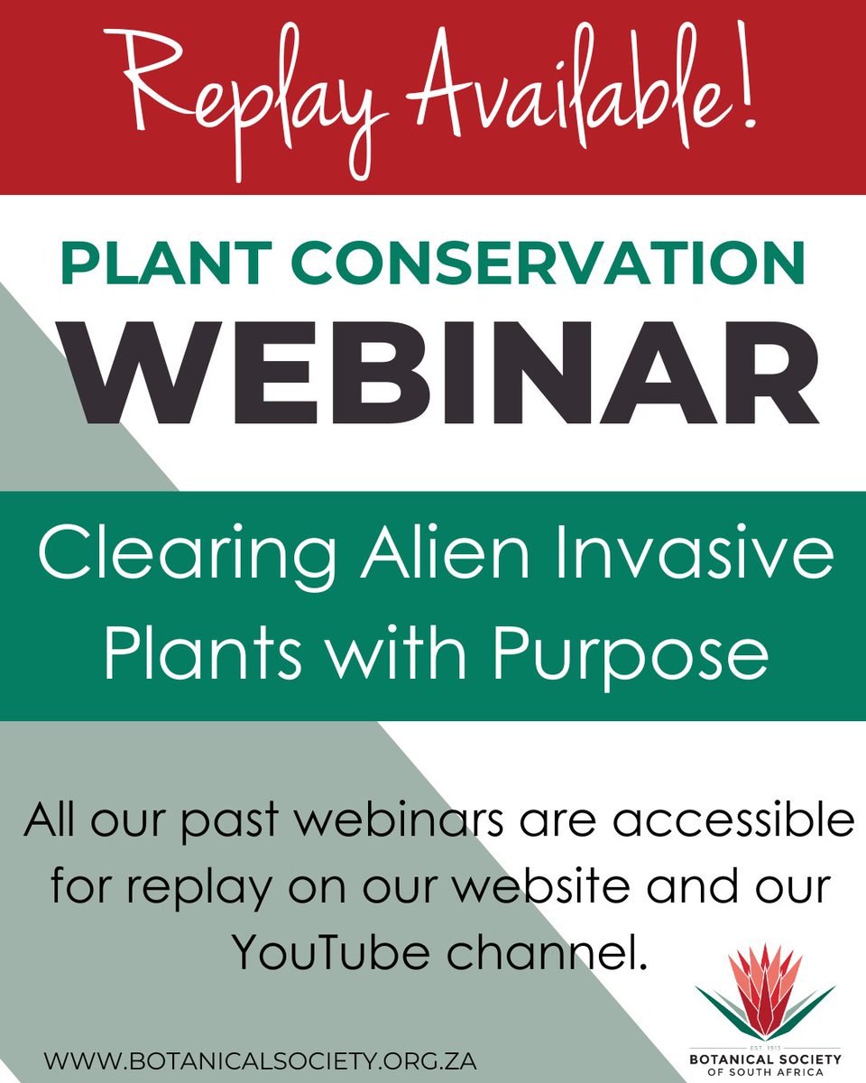 🌱 Missed our latest webinar? Catch the REPLAY!

🎥 Watch now on YouTube: bit.ly/46p8Ccg
📚 Or visit our website to explore all past webinars!

#BotSocWebinars #AlienInvasiveSpecies #ConservationMatters #EcologicalRestoration #ReplayNow #IndigenousPlants