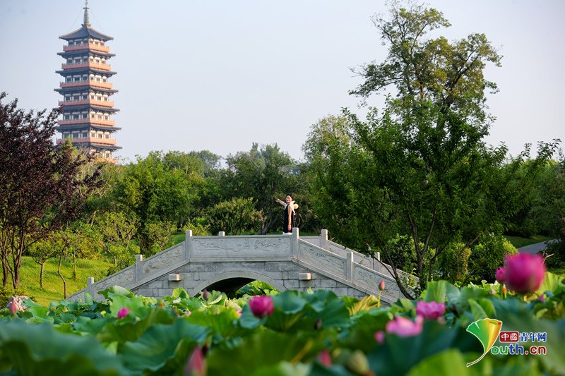 YouthChina's tweet photo. On July 6, 2025, in #Yangzhou City, #Jiangsu Province, the #lotuses bloomed at #SlenderWestLake with #blackswans gliding among the lotus.
The lake is brimming with lotuses in full bloom, mirrored by waterside structures along the shore. As the breeze whispers, fragrance draws dragonflies dancing over the water. Their grace animates the shimmering surface, beckoning crowds to explore this seasonal spectacle. #ChinaTravel