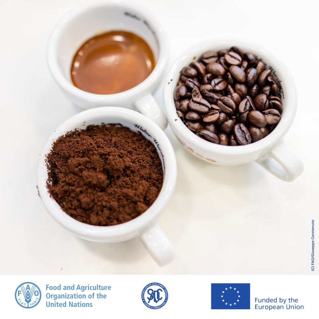 The #STOSARII training kicks off the #ValueChains component &amp; experts are being equipped with tools like Sector Development Plan Agreements, inclusive   aggregation &amp; AI to build climate-smart, inclusive value chains driving: Productivity🌱Market access📈Economic opportunities💼