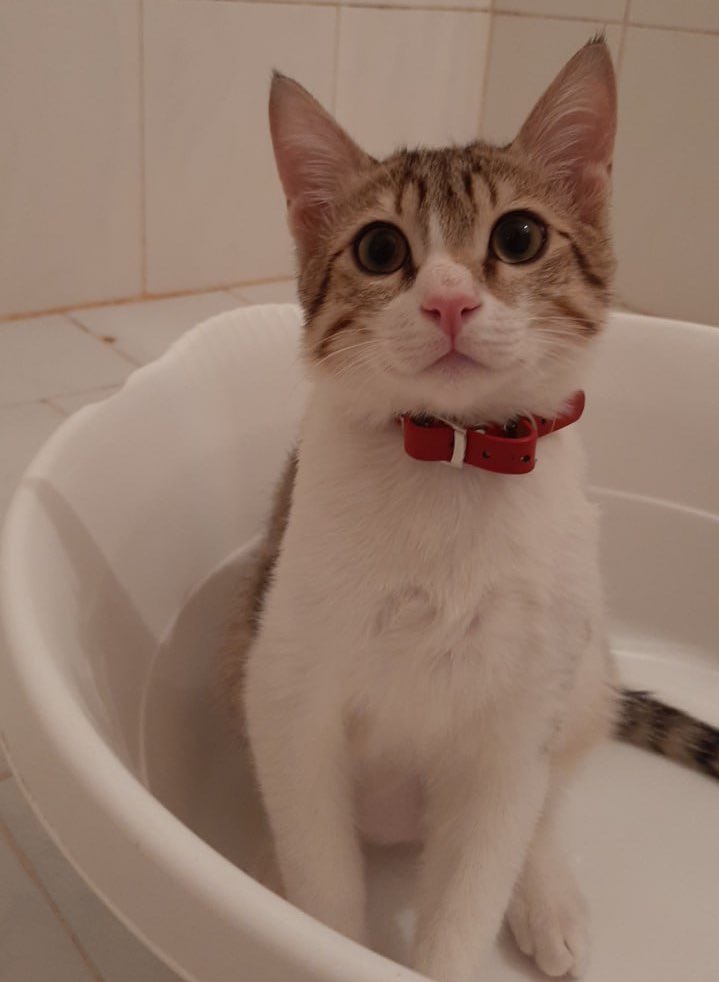 از سری عکس‌های مورتی کوچولو در حمام