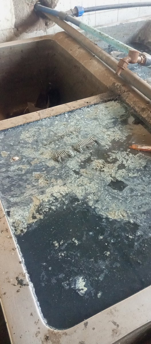 Reuben Akili tweet media