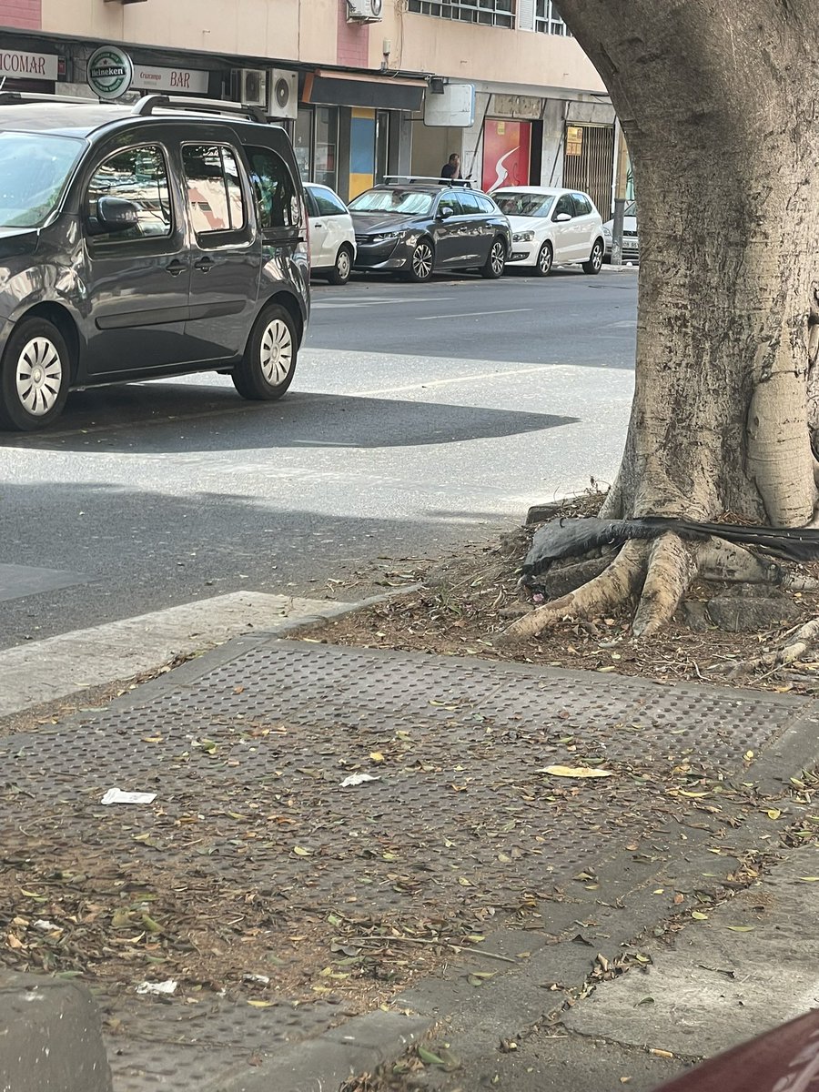 antoniofes3's tweet photo. Este es el nivel de limpieza de una de las avenidas principales de la ciudad. Da vergüenza la imagen que da. Los almerienses estamos acostumbrados a una ciudad muy sucia, dejada y con una imagen lamentable, y esto es solo un sitio de muchos. La ciudad da ASCO. @aytoalm https://t.co/z3m6HOXIJh