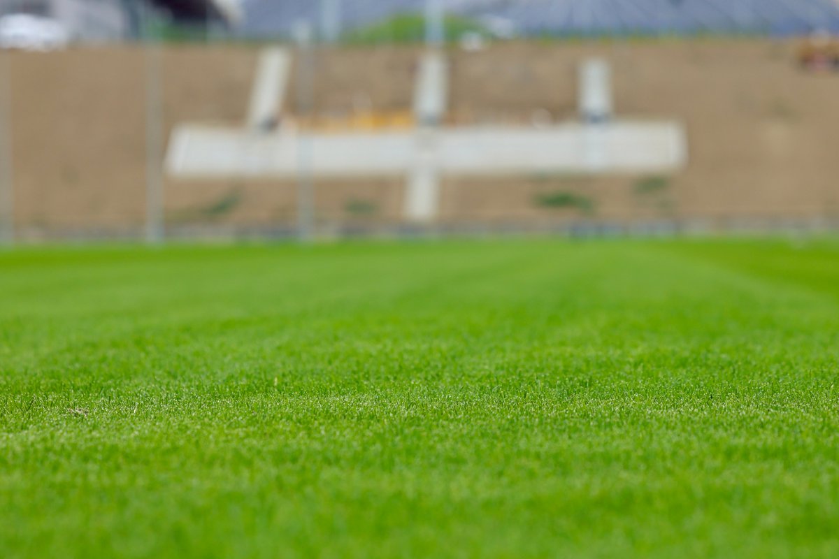 SDEibar's tweet photo. 🔛 Pistoletazo de salida a la temporada 2025/2026 para el equipo de Beñat San José.

🩺 La SD Eibar vuelve hoy a la dinámica de trabajo arrancando con las pruebas médicas y el miércoles será la primera sesión en campo.

🔗 https://t.co/48ZhTPHIkU

#BetiArmaginak⚔️ https://t.co/EwvZYtXrmA