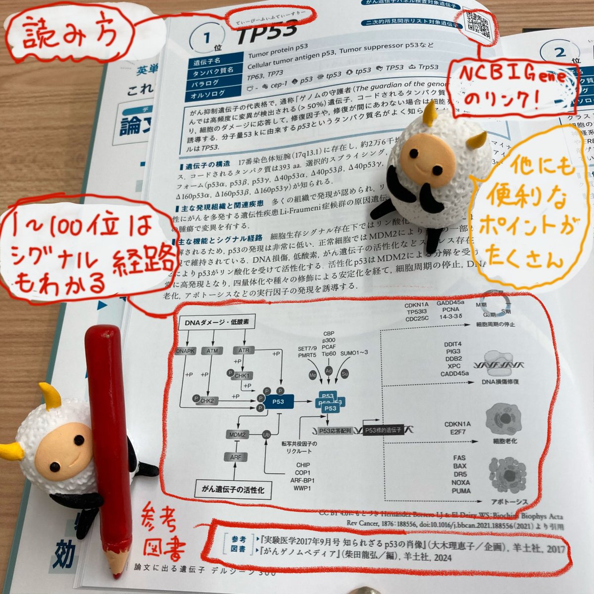 ἪὼἿ生物系実習2実習書2022ᾐὕὨ 生化学実習 第2版/医歯薬出版株式会社