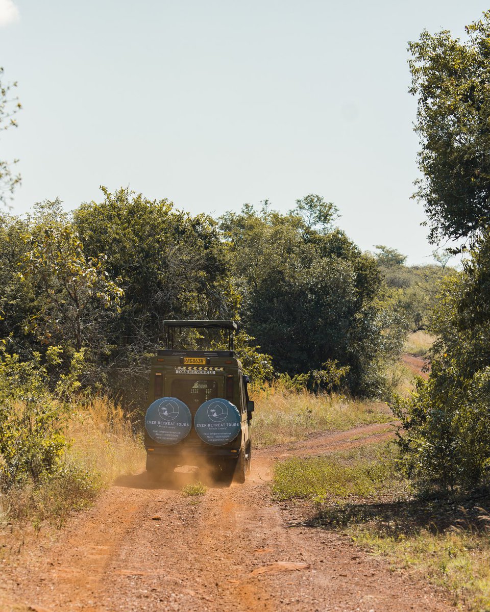EverRetreat's tweet image. As an exclusive Villa our guests enjoy their very own safari vehicle, which makes it ideal for families with children of all ages,
We offer guided walking safaris to provide ideal conditions to spot the Big 5.