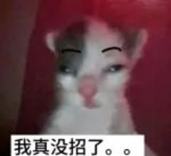 我是怎么做到从一堆芋泥奶黄红豆馅的糕点里面挑到五仁的。。。