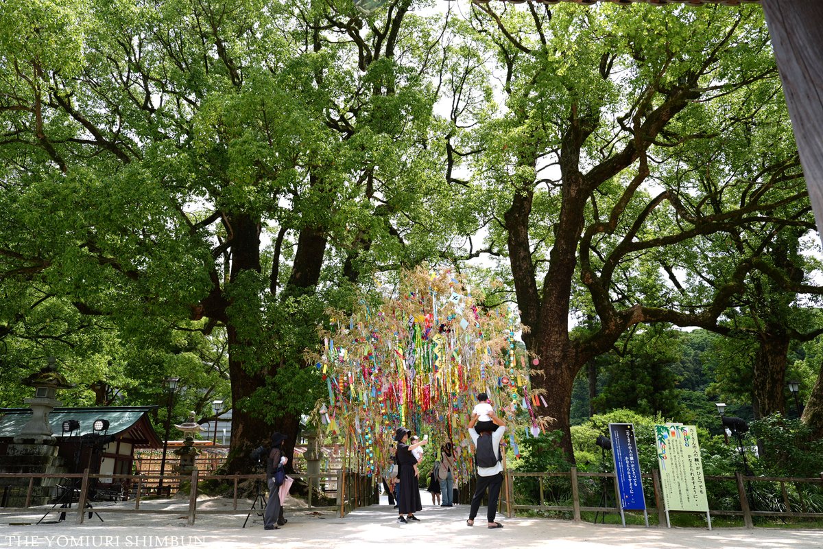 ys_shashin's tweet image. 福岡県太宰府市の太宰府天満宮境内に七夕飾りのアーチ
。
今日は令和７年７月７日。いつもより少し”ラッキー”な感じのする「七夕」。願いが叶いますように。

▽【九州発】記事は
yomiuri.co.jp/local/kyushu/n…

▽【星空の下で】 七夕の夜に天の川をジャンプするのは？
yomiuri.co.jp/science/202507…

#七夕