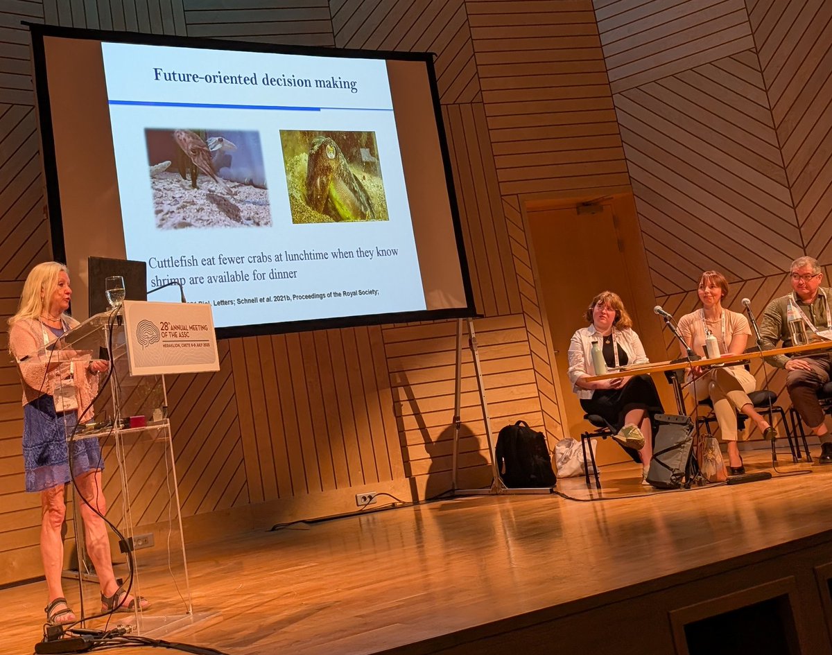 canalesjohnson's tweet image. "Cuttlefish eat fewer crabs at lunchtime when they know shrimp are available for dinner" #ASSC28. Amazing talk by the great @nickyclayton22.