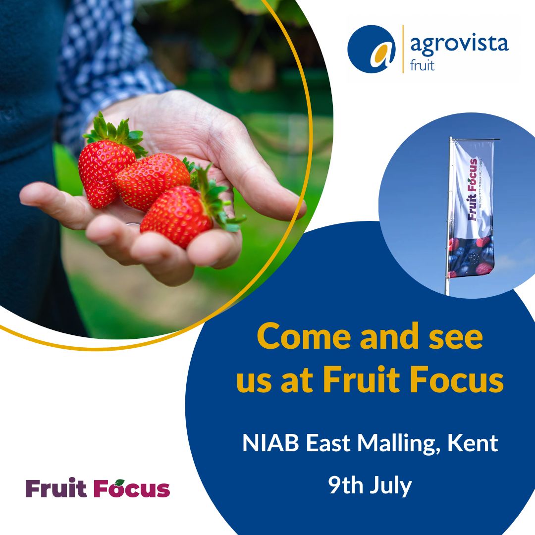 AgrovistaUK Fruit (@agrovistafruit) on Twitter photo 🍓 We're heading to <a href="/FruitFocus/">Fruit Focus</a> on 9th July.
Catch the Fruit Team on Stand 300 with our amazing partners:
🔹 <a href="/BotanicoirLtd/">Botanicoir Ltd</a>
🔹 <a href="/BatoPlastics/">Bato Plastics</a>
🔹 <a href="/Koppert/">Koppert</a>
🔹 <a href="/RoamTechnology/">Roam Technology</a>
Let's talk innovation, sustainability and yield.
#FruitFocus #FruitTeam #Horticulture 🍓 We're heading to <a href="/FruitFocus/">Fruit Focus</a> on 9th July.
Catch the Fruit Team on Stand 300 with our amazing partners:
🔹 <a href="/BotanicoirLtd/">Botanicoir Ltd</a>
🔹 <a href="/BatoPlastics/">Bato Plastics</a>
🔹 <a href="/Koppert/">Koppert</a>
🔹 <a href="/RoamTechnology/">Roam Technology</a>
Let's talk innovation, sustainability and yield.
#FruitFocus #FruitTeam #Horticulture
