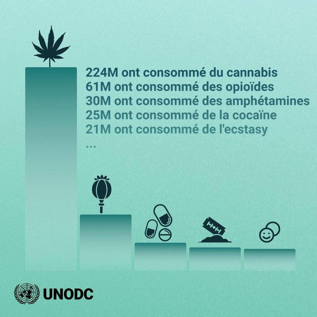 📊 Au cours de la dernière décennie, la consommation de cannabis a augmenté d'un tiers.

Découvrez les implications mondiales dans le #WorldDrugReport 2025 ⬇️
bit.ly/DrugReport2025