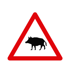 ➡️ El nuevo pictograma P-24a indica peligro por la proximidad de un lugar donde la vía puede ser atravesada con frecuencia por animales en libertad, siendo especialmente habituales en ese tramo los jabalíes. #NuevasSeñales