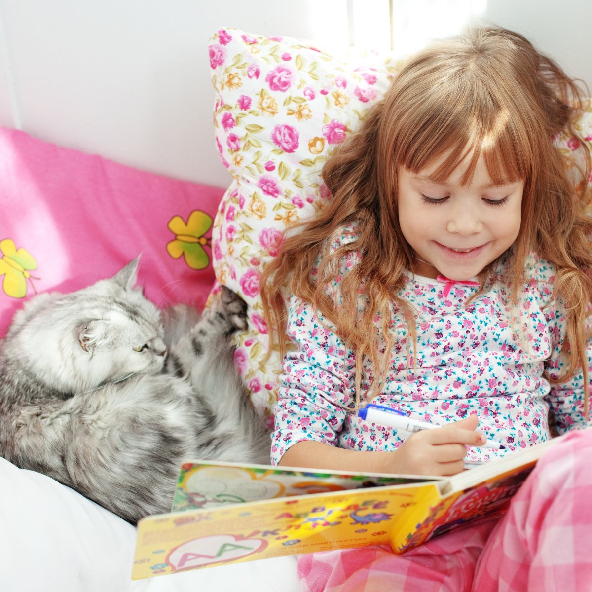 FCareCharity's tweet image. Pets can be powerful “safe spaces” for children in foster care. 🐾
Dogs especially help kids feel grounded, calm, and less alone in new environments. 💛

✨ Has a pet helped a child feel safe in your home? Share your story 🐶
#FosterCare #PetPower #SafeBase #AnimalTherapy