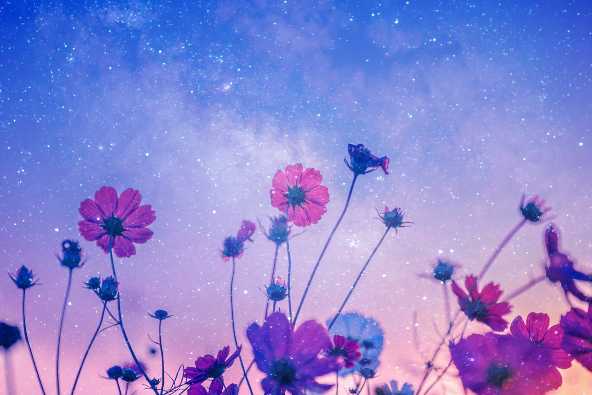 願いが叶うなら、この先も貴方と。