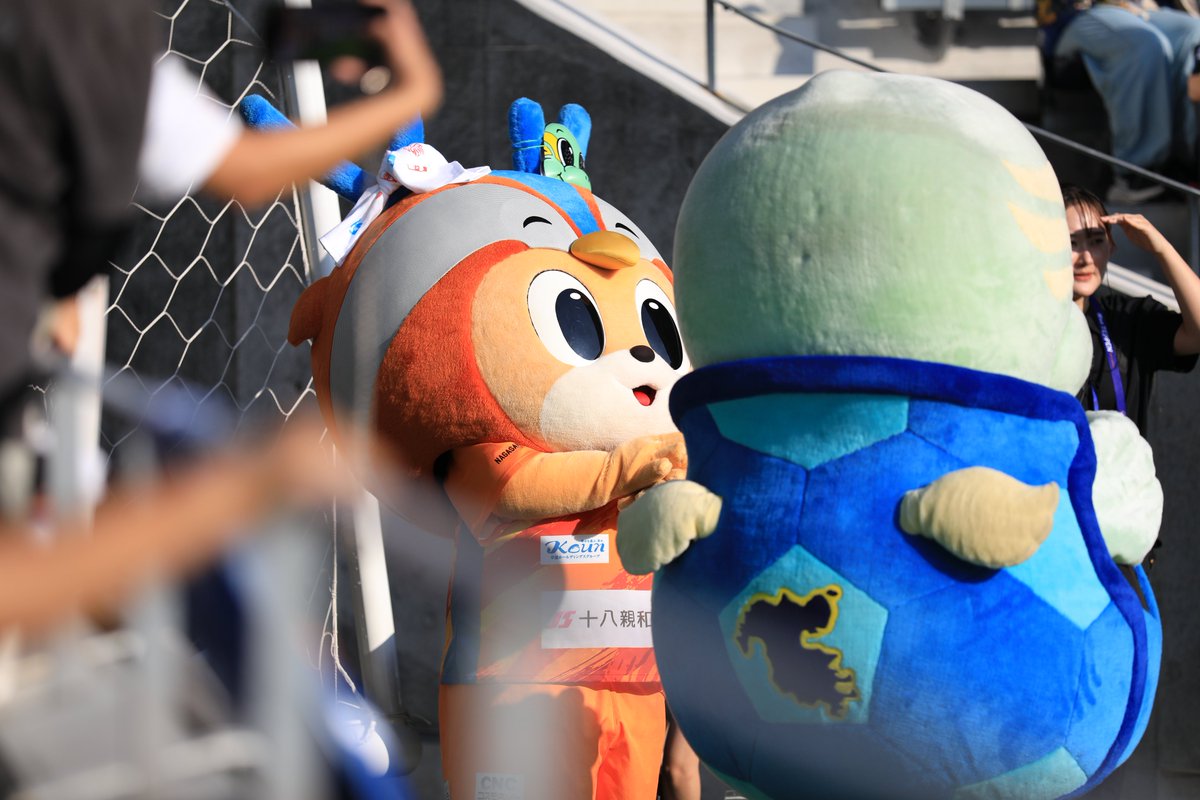 20250705
かわいすぎるもふもふコンビ！
気づいたら近くにいらっしゃったので慌てたやつ笑
暑かったけどめちゃめちゃ癒されました☺️
(ヴィヴィくんのツノのニータンお面とはちまきが夏らしくて可愛い)
.
#ヴィヴィくん
#ニータン