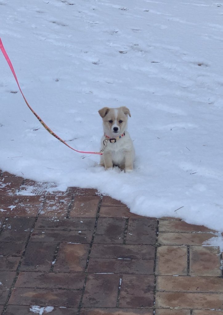 더우니까 시원한 거 보세여