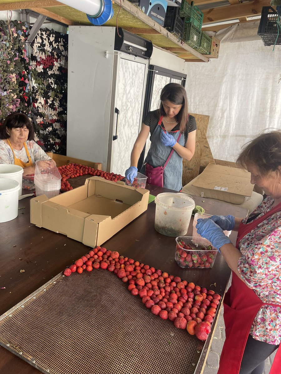 LVKitchen2014's tweet image. KITCHEN in work today 🤝🫶💙💛
#Ukraine
#VolunteerWork
#NAFOfellas