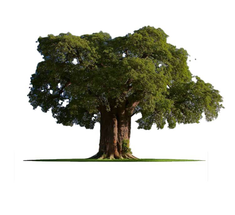 PascalAmuriat's tweet image. We are calling upon lovers of a united and prosperous Uganda to join Democratic Front. The shade is enough for everyone. Better Country happy people.