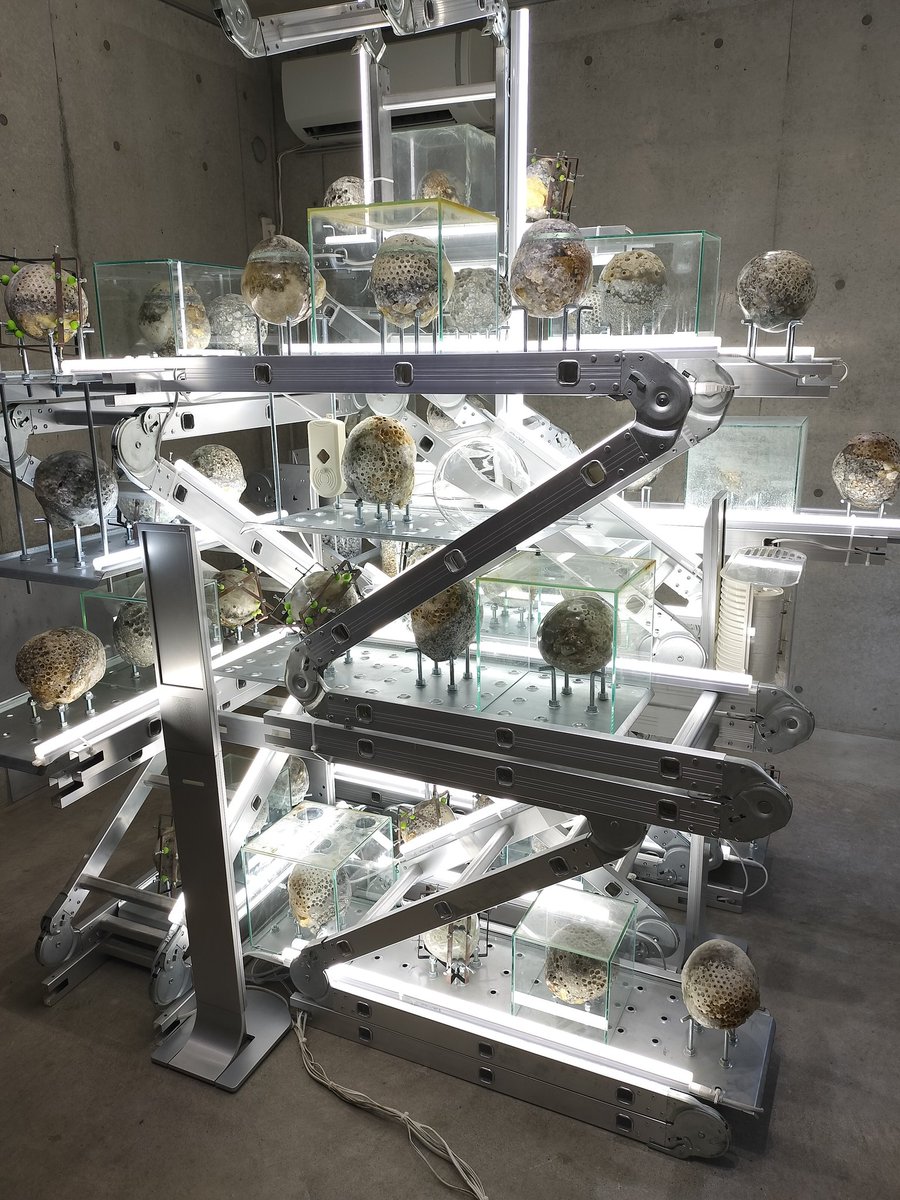 ogoshfmi's tweet photo. 構想計画所と題した展示を見るのは、これで5回目である。今回は、AI生成動画もあり一段とパワーアップ。何処かの研究室にいるような気分になる。製作意図はよくわからないが不思議で面白い展示だと思う。
#galleryfu
#前野智彦
#構想計画所
#Weathering_Project https://t.co/GIkXmistzJ