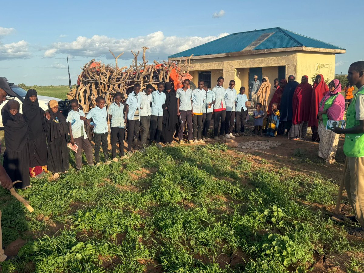 RACIDA (@racidaofficial) on Twitter photo Empowering Learners through #SchoolGardening to Improve #Nutrition.
With support from <a href="/WFP/">World Food Programme</a>, RACIDA recently facilitated a hands-on school vegetable production training across four primary schools in #Wajir.
This initiative reached:
✅ 80 pupils
✅ 8 teachers
✅ Community Empowering Learners through #SchoolGardening to Improve #Nutrition.
With support from <a href="/WFP/">World Food Programme</a>, RACIDA recently facilitated a hands-on school vegetable production training across four primary schools in #Wajir.
This initiative reached:
✅ 80 pupils
✅ 8 teachers
✅ Community