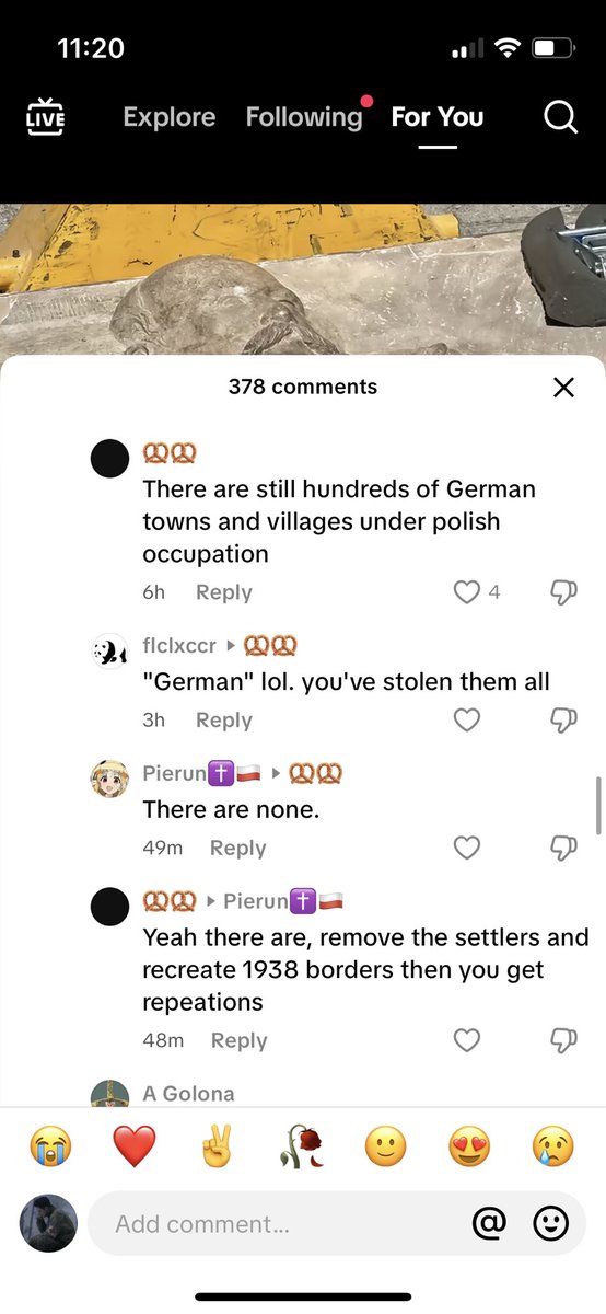 zbjstw's tweet image. FREE GERMANY FROM THE POLISH  OCCUPATION😭😭😭😭😭😭😭😭