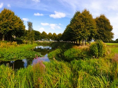DLRPPN's tweet image. Join DLR Biodiversity with Justin Ivory for a Walk &amp;amp; Talk Exploring Life Along the River’s Edge in Clonkeen Park. Discover the hidden watery world teeming with life along our local river corridor! 
dlrppn.ie/event/explorin…

⏰Date &amp;amp; Time: 10:00am Saturday 19th July
